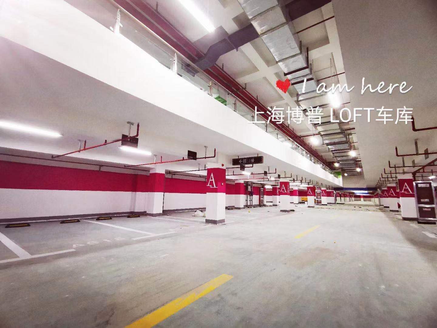 西藏已交竣的绿城豪华LOFT专利车库效果惊艳！